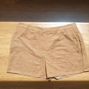 Corduroy Plus Size Brown Shorts NWT